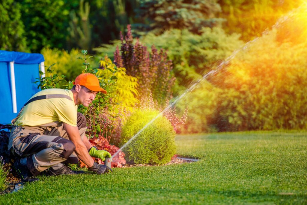 Services, spring start-up and alignment, sprinkler services